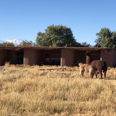 Eco-Lodge El Andinista San Pedro De Atacama Extérieur photo