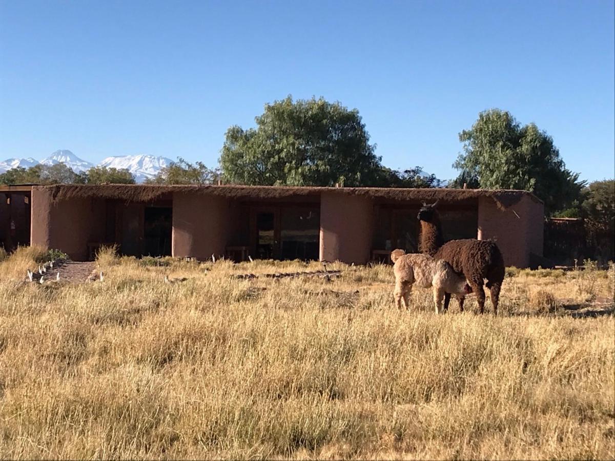 Eco-Lodge El Andinista San Pedro De Atacama Extérieur photo