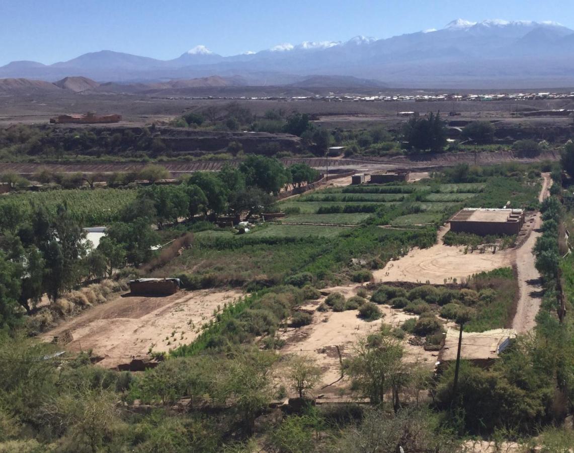 Eco-Lodge El Andinista San Pedro De Atacama Extérieur photo