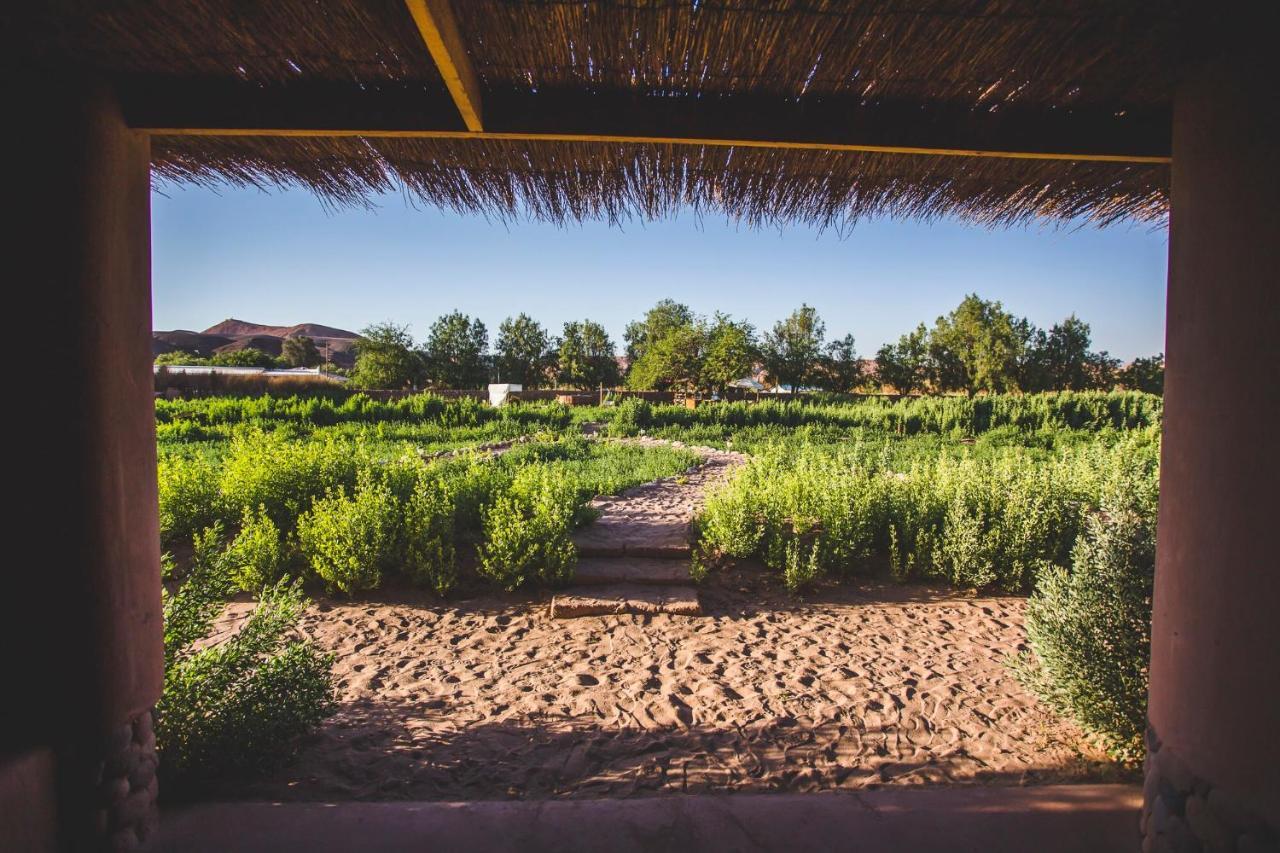 Eco-Lodge El Andinista San Pedro De Atacama Extérieur photo