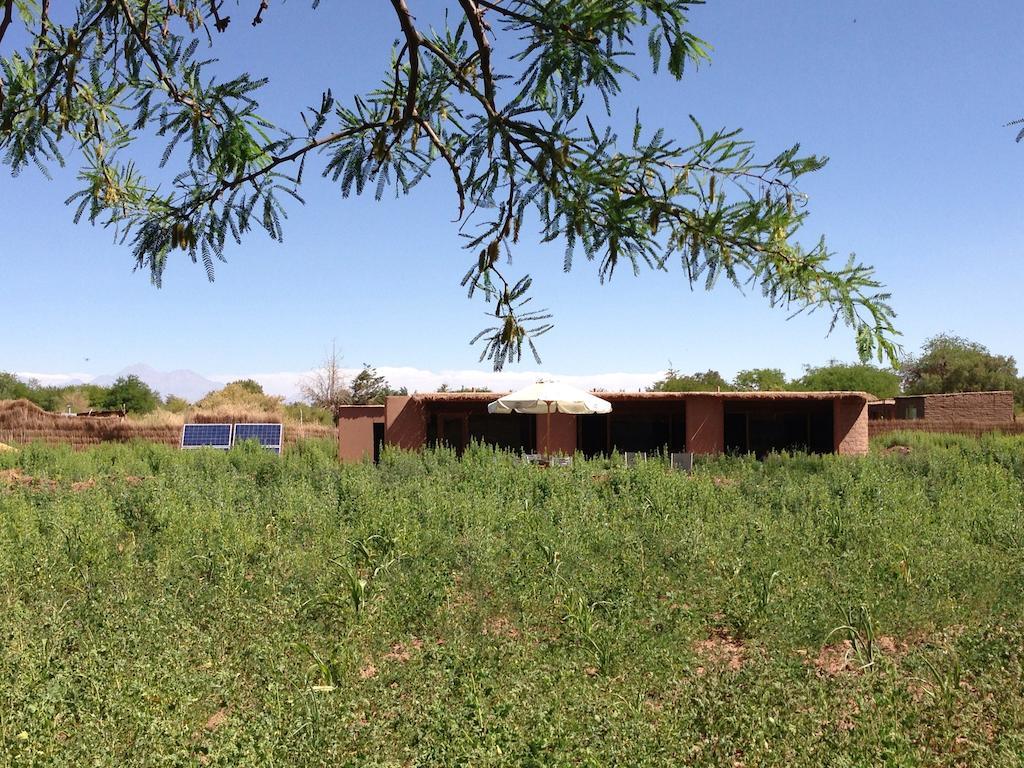 Eco-Lodge El Andinista San Pedro De Atacama Extérieur photo